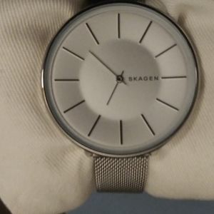 Womens Skagen Karolina stainless watch